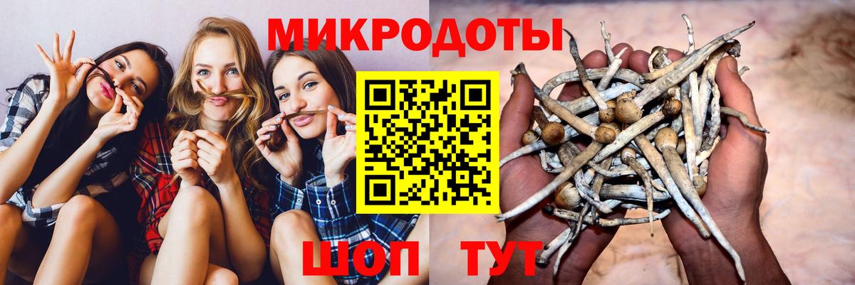 Нововоронеж  Галлюциногенные грибы MAGIC MUSHROOMS  Вход с VPN 