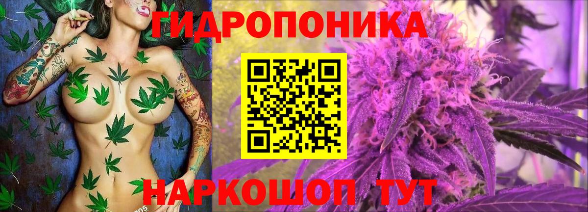 Марихуана сатива  МАРИХУАНА ГИДРОПОН  Вход с VPN  Канабис тримм  Нововоронеж 
